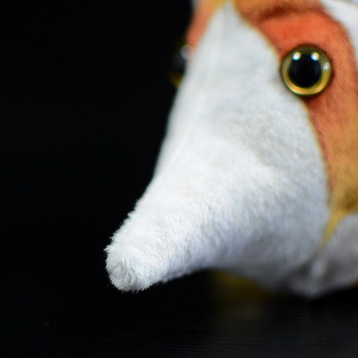 aquarium fish plushies
