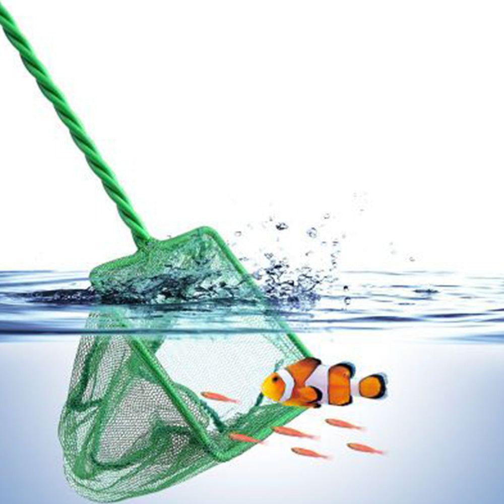 Fish net