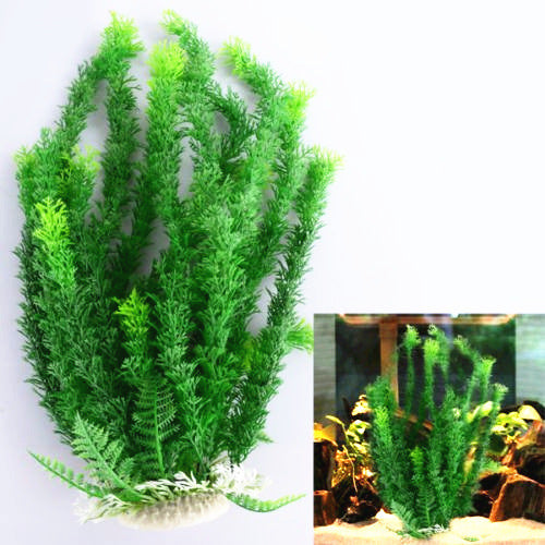 Aquarium fish tank plant