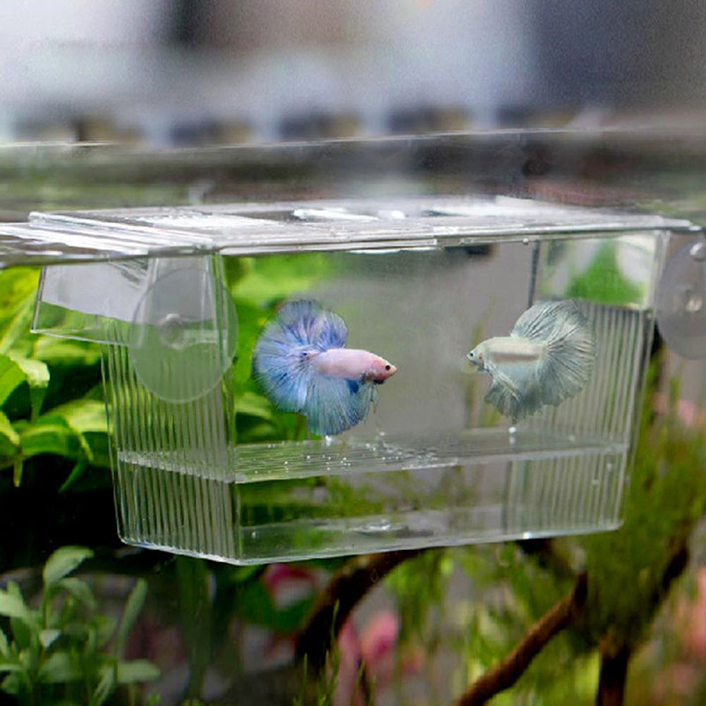 Acrylic Aquarium Fry Box