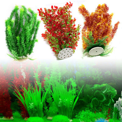 Aquarium fish tank plant